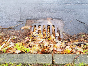 Storm drain on side of street clogged with fallen leaves and other debris